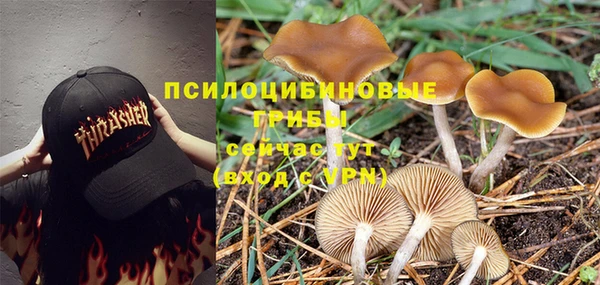 СК Алексин