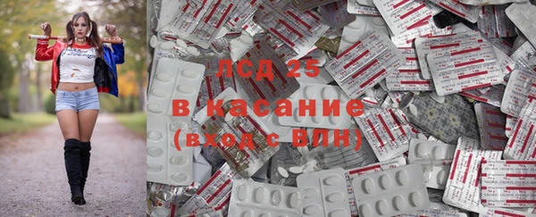СК Алексин