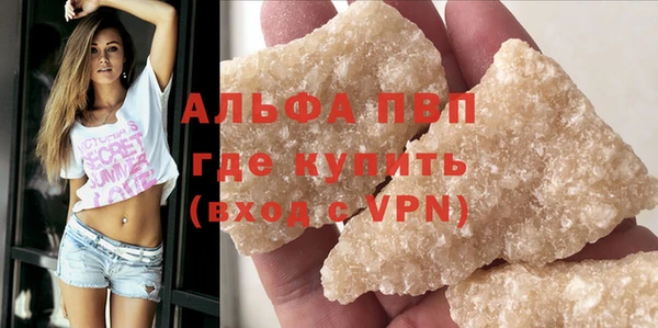 СК Алексин