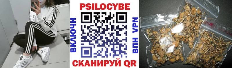 купить  сайты  mega онион  Галлюциногенные грибы мицелий  Чаплыгин 